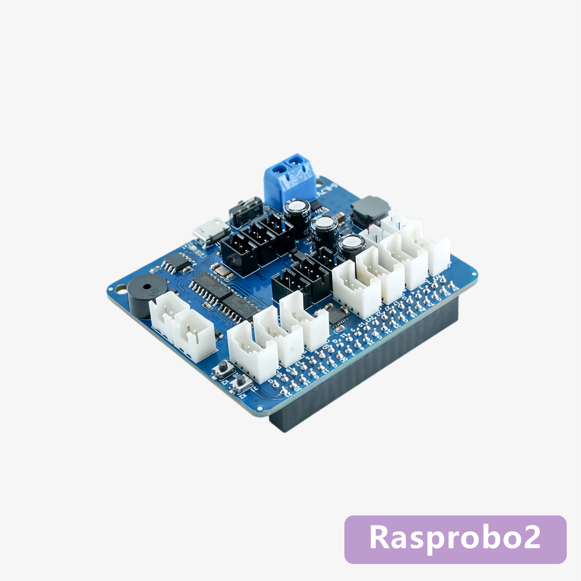 Rasprobo2